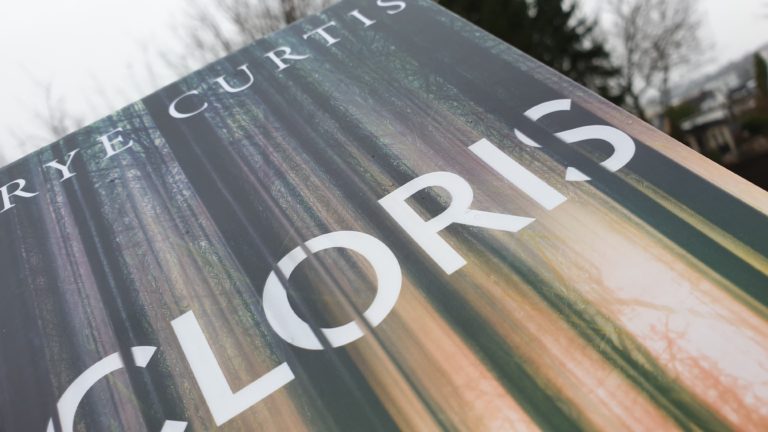Abgestürzt im tiefsten Wald, ist Cloris noch zu retten?